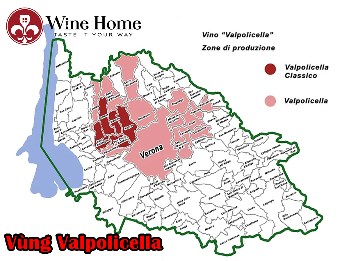Valpolicella là gì? Rượu vang vùng Valpolicella